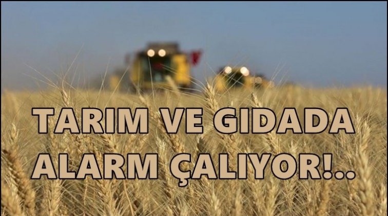 Tarım ve gıdada alarm zilleri çalıyor!