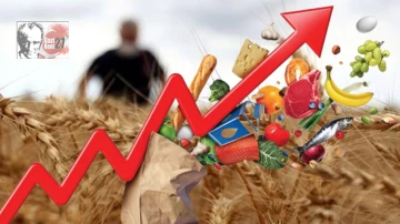 Tarımsal girdi enflasyonunda yeni rekor: Yüzde 134,96  