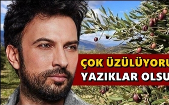Tarkan'dan zeytin&nbsp;katliamına&nbsp;tepki!