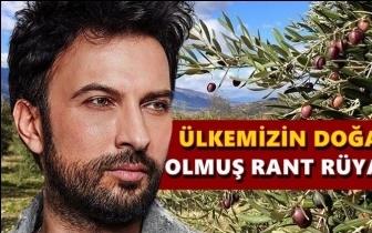 Tarkan'dan 'zeytinlik'&nbsp;tepkisi...
