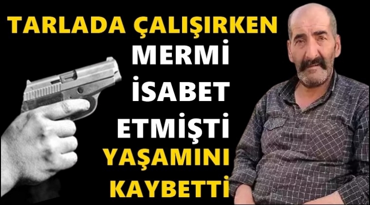 Tarla sularken mermi isabet etmişti!