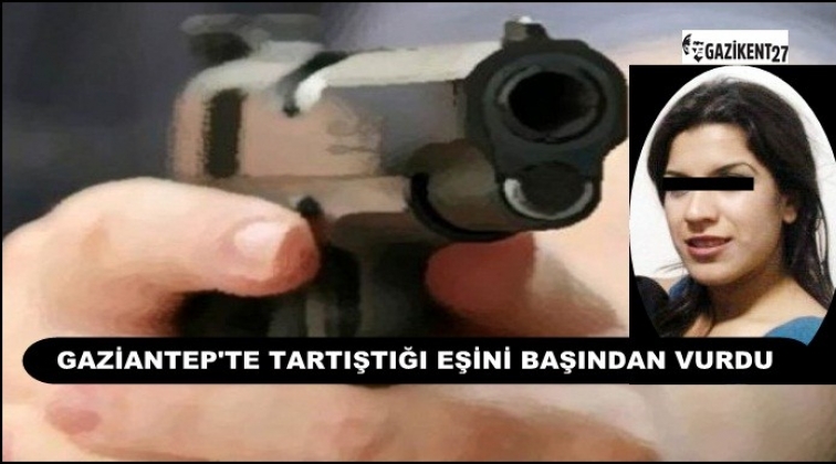 Tartıştığı karısını başından vurarak &ouml;ld&uuml;rd&uuml;!