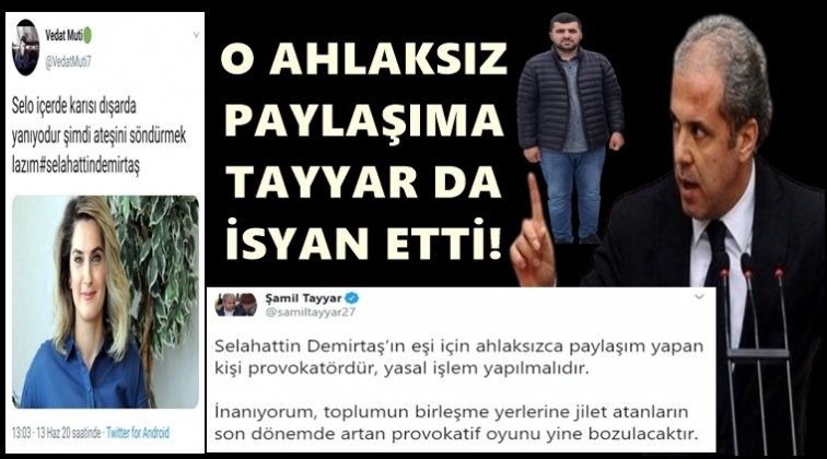 Tayyar'dan Demirtaş'a destek tweeti...