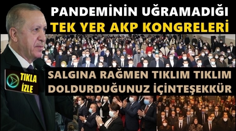 Tedbirlerden muaf tek yer: AKP kongreleri