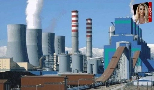 Termik Santrala mahkemeden ‘devam’ kararı: İtirazlar dikkate alınmadı