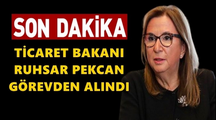 Kabine'de revizyon Resmi Gazete'de yayımlandı