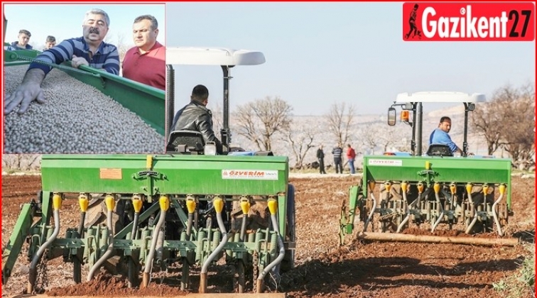 Tohumlar ekildi, 240 ton mahsul bekleniyor