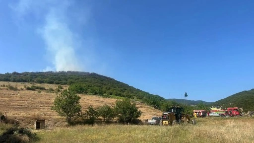 Tokat'ta ormanlık alanda yangın!