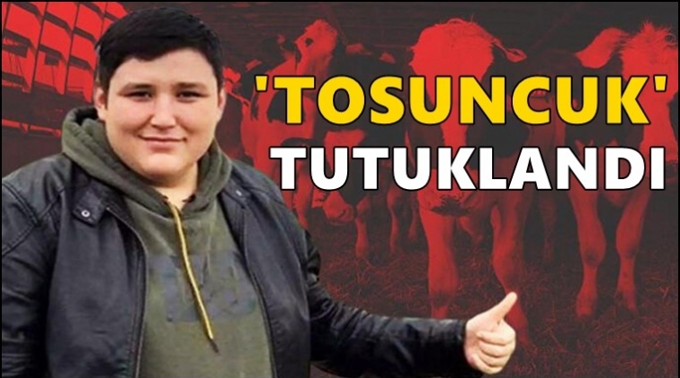 'Tosuncuk' lakaplı Mehmet Aydın tutuklandı!