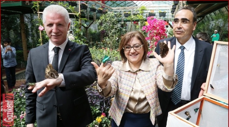 Tropik Kelebek Bah&ccedil;esi a&ccedil;ıldı