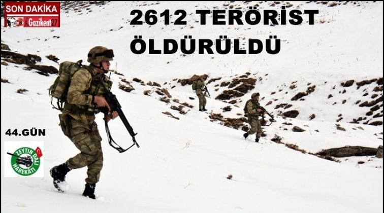 TSK: 2612 terörist öldürüldü