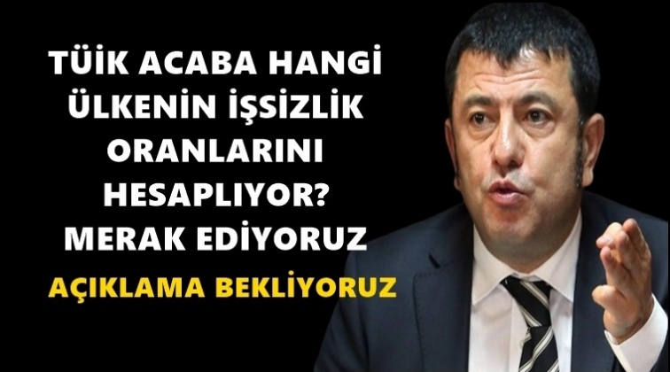 T&Uuml;İK hangi &uuml;lkenin işsizlik oranlarını hesaplıyor?