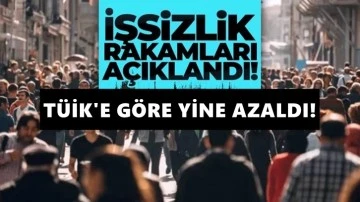 TÜİK'e göre, işsiz sayısı Ağustos'ta azaldı!