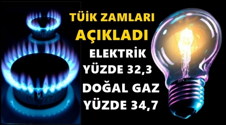 T&Uuml;İK: Elektrik y&uuml;zde 32,3 Doğal gaz 34,7