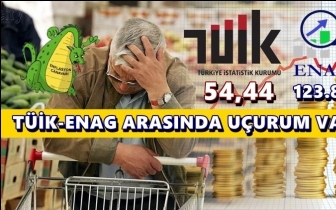 T&Uuml;İK: y&uuml;zde 54,44 ENAG: y&uuml;zde 123.80