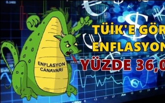 T&Uuml;İK'e g&ouml;re yıllık enflasyon y&uuml;zde 36,08...