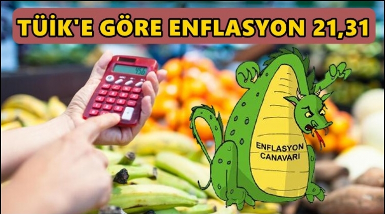 T&Uuml;İK'e g&ouml;re: Y&uuml;zde 21,31 ENAG'a g&ouml;re: 58,65