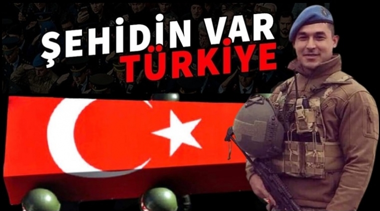 Tunceli'de çatışma: Bir askerimiz şehit!