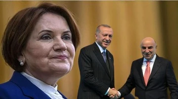 Turgut Altınok: 2019'da Akşener'den bana teklif geldi!