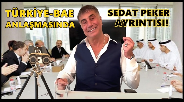 T&uuml;rkiye ve BAE anlaşmasında Peker ayrıntısı!