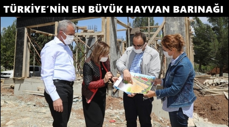 T&uuml;rkiye&rsquo;nin en b&uuml;y&uuml;k hayvan barınağı...