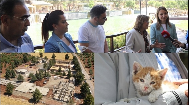 T&uuml;rkiye'nin en b&uuml;y&uuml;k hayvan barınağı olacak...