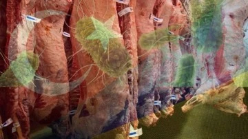 Ukrayna'dan Türkiye'ye gelen etlerde Salmonella tespit edildi