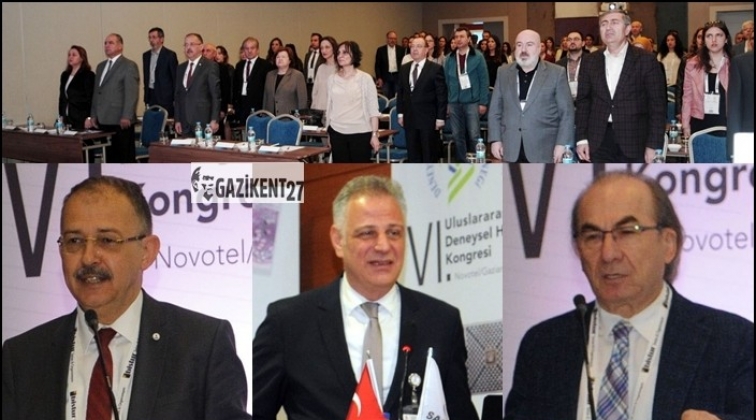 Uluslararası Deneysel Hematoloji Kongresi