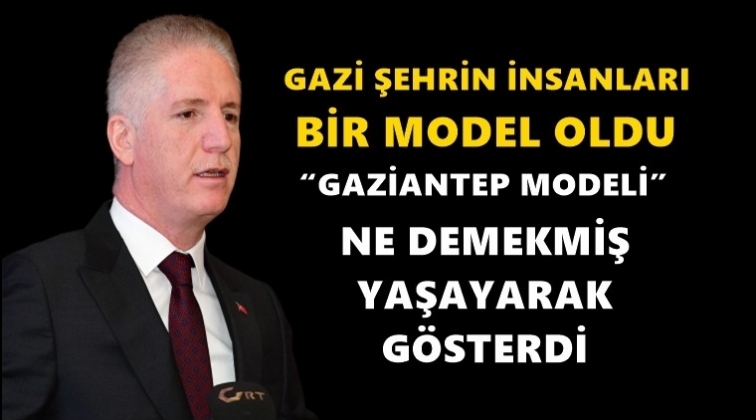 Vali Davut G&uuml;l&rsquo;den yeni yıl mesajı