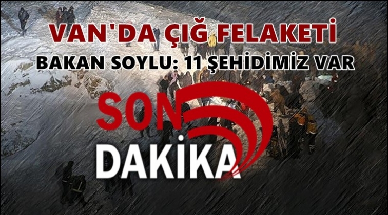 Van'da &ccedil;ığ felaketi: 11 şehit