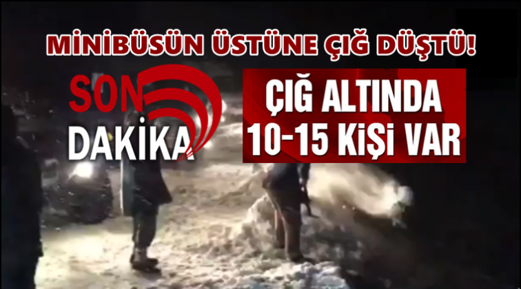 Van'da&nbsp;minib&uuml;s&uuml;n &uuml;zerine &ccedil;ığ d&uuml;şt&uuml;!