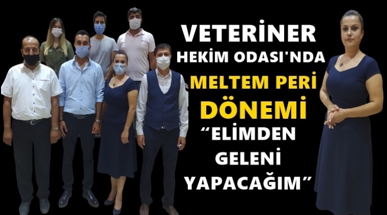 Veterinerler hekimlerde Peri d&ouml;nemi