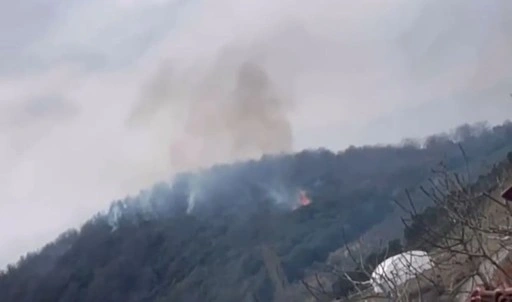 Yalova'da orman yangını