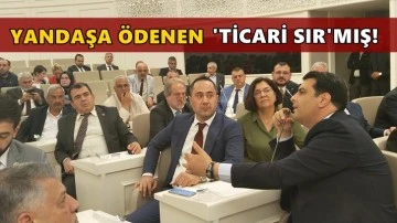 Yandaş gazetelere aktarılan paralar 'ticari sır' sayıldı!