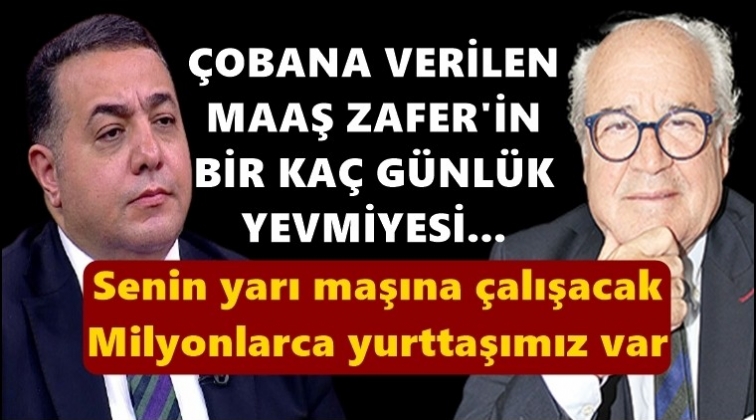 'İşsizim' diyenlere '&ccedil;obanlık &ouml;neren yandaşa olay cevap!