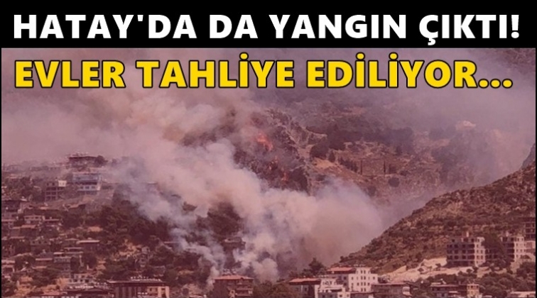 Yangın kabusu s&uuml;r&uuml;yor: Hatay'da evler tahliye edildi!