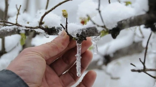 Yaz geldi komisyon sadece 2 kez toplanabildi: Çiftçi derdiyle baş başa kaldı