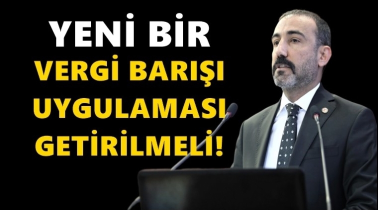 Yeni bir &ldquo;Vergi Barışı&rdquo; uygulaması gerek!