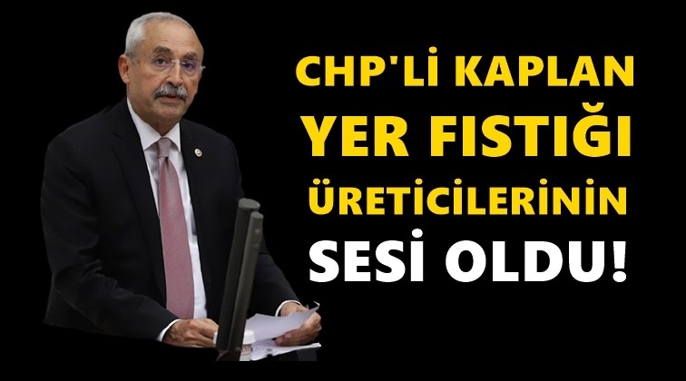 Yer fıstığı &uuml;reticilerinin sorunları meclis g&uuml;ndeminde