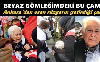 Yere d&uuml;ş&uuml;r&uuml;len 89 yaşındaki hekim konuştu!