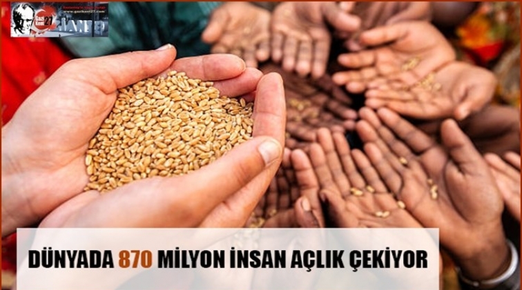 Yılda 1,6 milyar ton gıda israfı