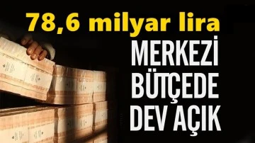 Yılın en yüksek aylık açığı: 78.6 milyar dolar!  