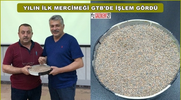 Yılın ilk mercimeği 2 liradan alıcı buldu