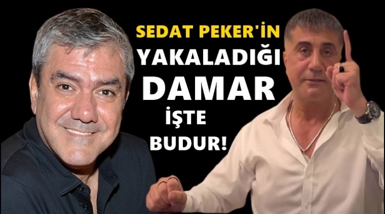 Yılmaz &Ouml;zdil, Sedat Peker'i yazdı...