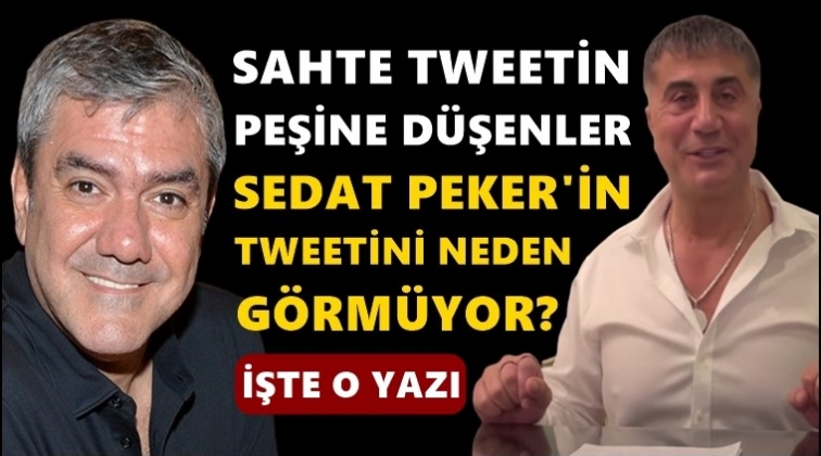 Yılmaz Özdil, Sedat Peker'in silah iddialarını yazdı...