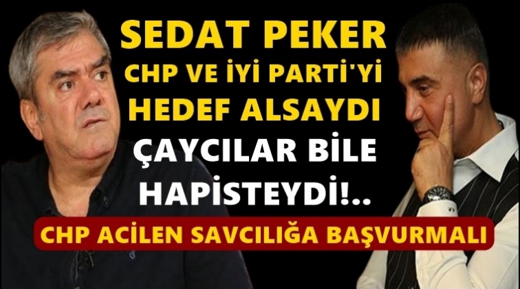 Yılmaz &Ouml;zdil'den muhalefete sert eleştiri!..