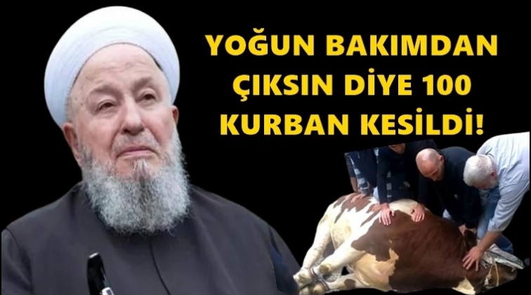 Yoğun bakımdan &ccedil;ıksın diye 100 hayvan kesildi!