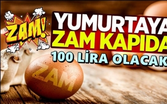 Yumurta üreticileri: 30'lu yumurta 100 lira olacak!