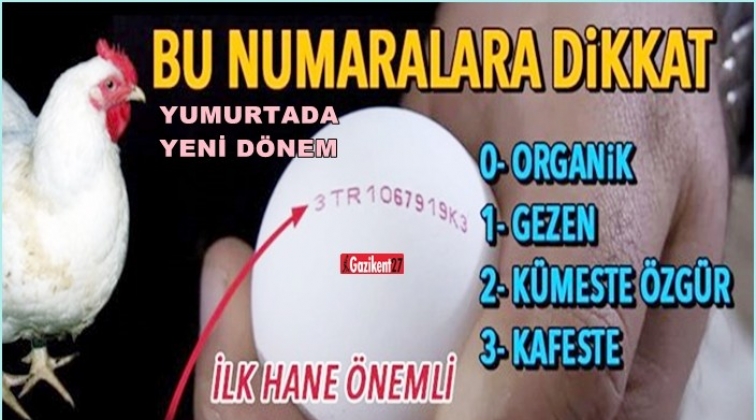 Yumurtada yeni dönem başlıyor