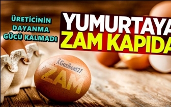 Yumurtaya zam kapıda!